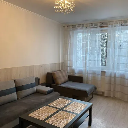 Cat Garden Airport *