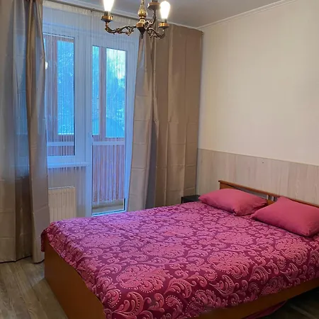 Cat Garden Airport *