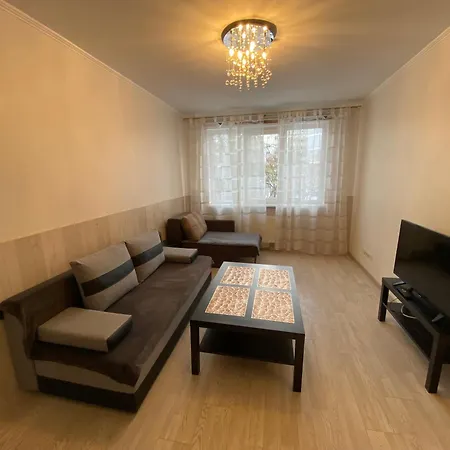 Cat Garden Airport Riga