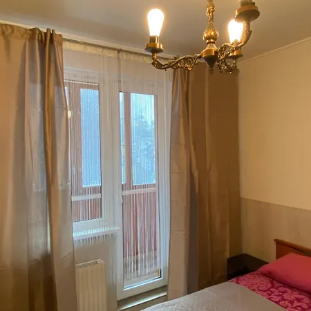 Cat Garden Airport ריגה