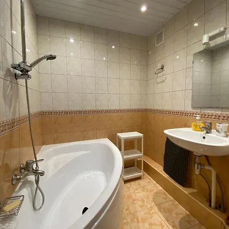 Cat Garden Airport *