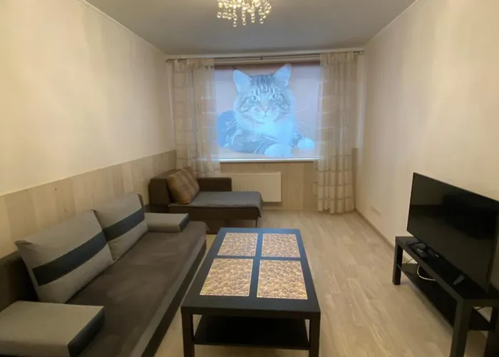 Апартаменты Cat Garden Airport