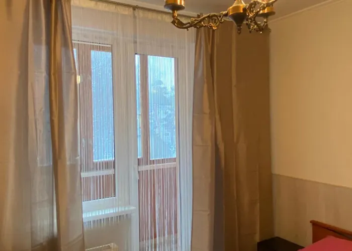 Cat Garden Airport Рига