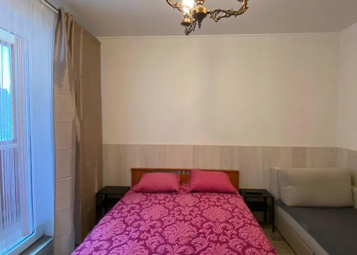 Cat Garden Airport Апартаменты