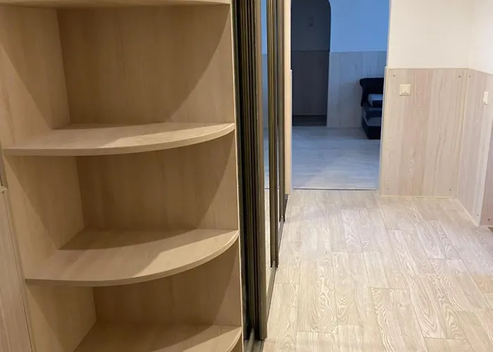 Cat Garden Airport Рига