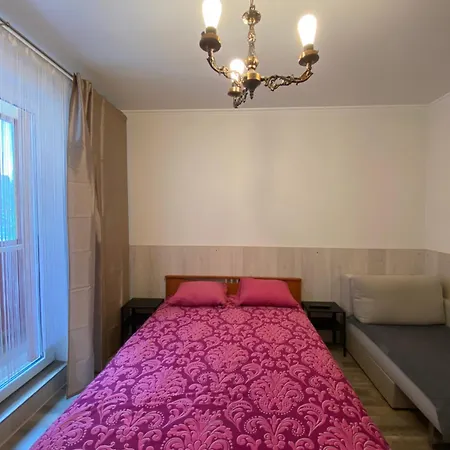 Cat Garden Airport Apartment